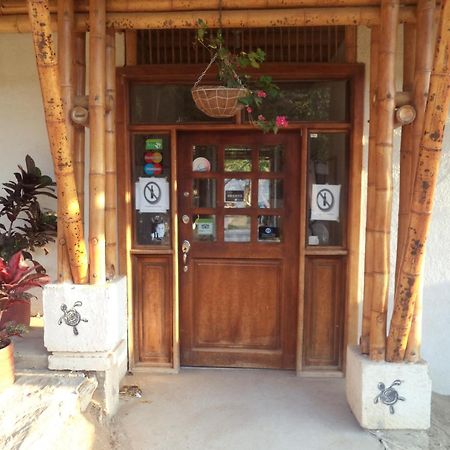 La Tortuga Hostel Taganga Exteriér fotografie