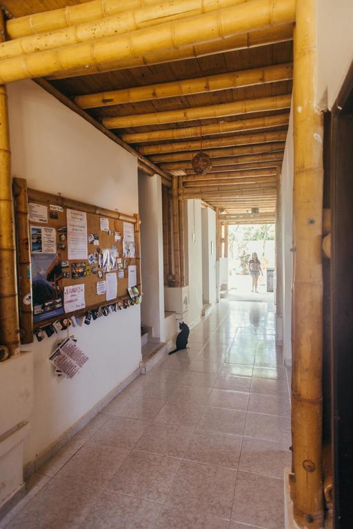 La Tortuga Hostel Taganga Exteriér fotografie