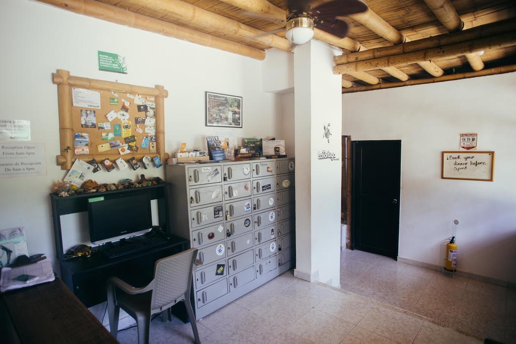 La Tortuga Hostel Taganga Exteriér fotografie